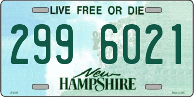 NH license plate 2996021