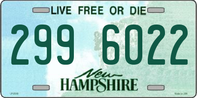 NH license plate 2996022