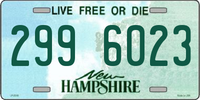 NH license plate 2996023