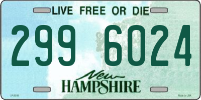 NH license plate 2996024