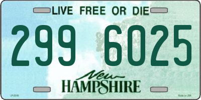 NH license plate 2996025