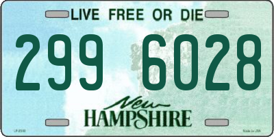 NH license plate 2996028