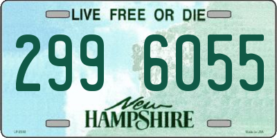 NH license plate 2996055