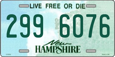 NH license plate 2996076