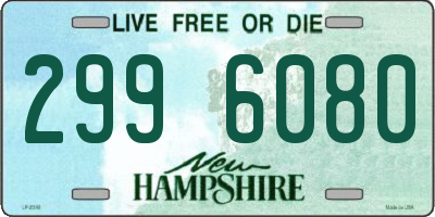 NH license plate 2996080