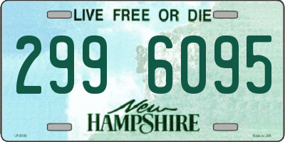 NH license plate 2996095