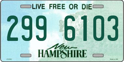 NH license plate 2996103