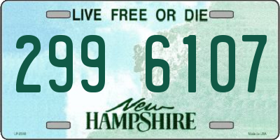 NH license plate 2996107