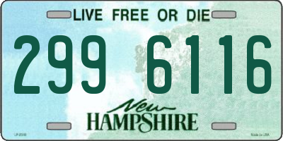NH license plate 2996116