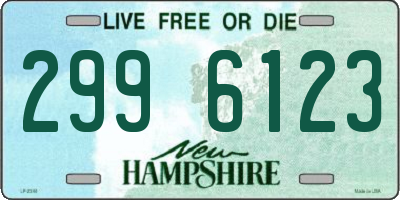 NH license plate 2996123