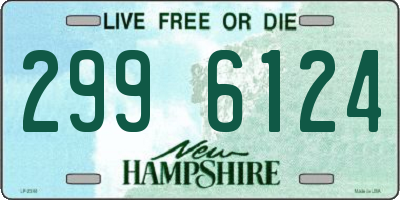 NH license plate 2996124