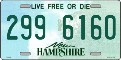 NH license plate 2996160
