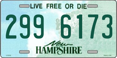 NH license plate 2996173