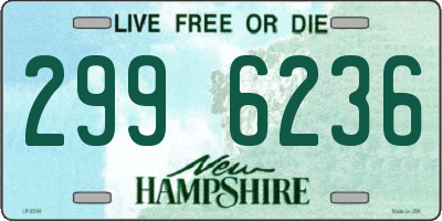 NH license plate 2996236