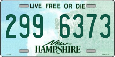 NH license plate 2996373