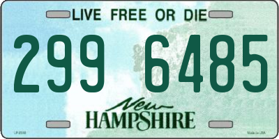 NH license plate 2996485