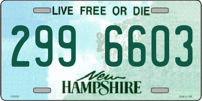 NH license plate 2996603