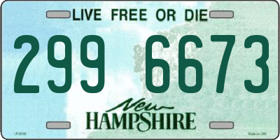 NH license plate 2996673