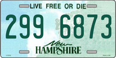 NH license plate 2996873