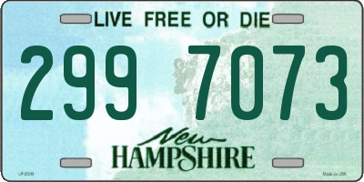 NH license plate 2997073