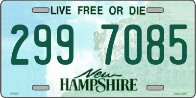NH license plate 2997085