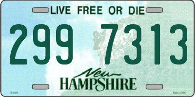 NH license plate 2997313