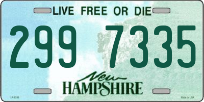 NH license plate 2997335