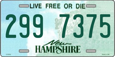 NH license plate 2997375