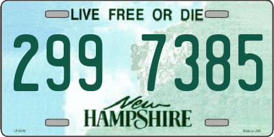 NH license plate 2997385