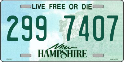 NH license plate 2997407