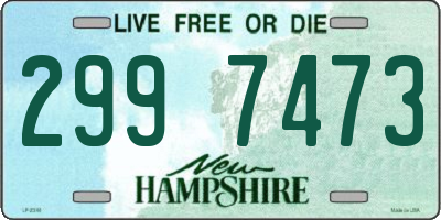 NH license plate 2997473