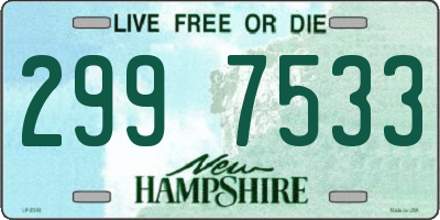 NH license plate 2997533