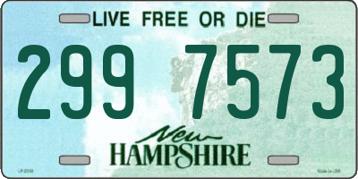 NH license plate 2997573