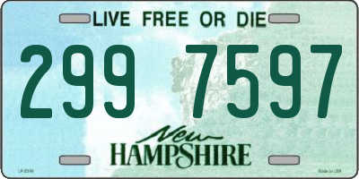 NH license plate 2997597