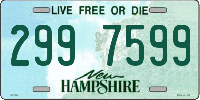 NH license plate 2997599