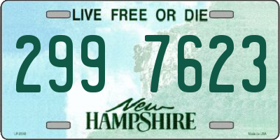 NH license plate 2997623