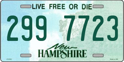 NH license plate 2997723