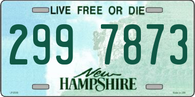 NH license plate 2997873