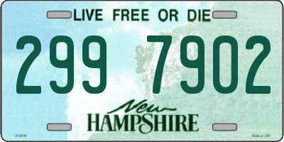 NH license plate 2997902