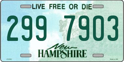 NH license plate 2997903