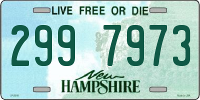 NH license plate 2997973
