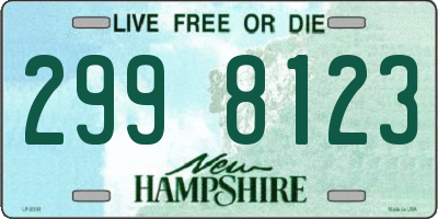 NH license plate 2998123