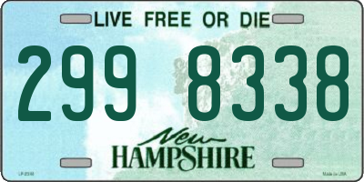 NH license plate 2998338