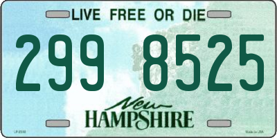 NH license plate 2998525