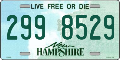 NH license plate 2998529