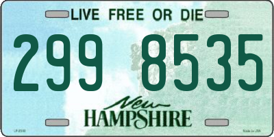 NH license plate 2998535