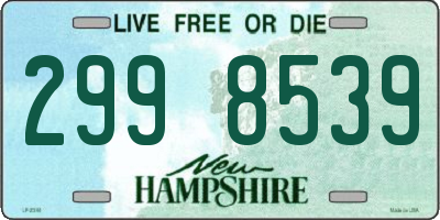 NH license plate 2998539