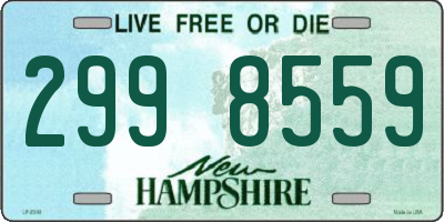 NH license plate 2998559
