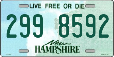 NH license plate 2998592