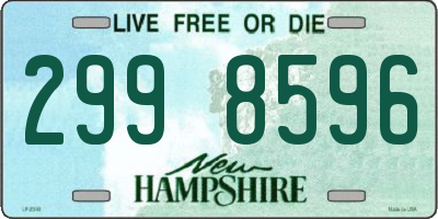 NH license plate 2998596